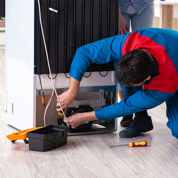 what are the common refrigerator repair services in Mantorville